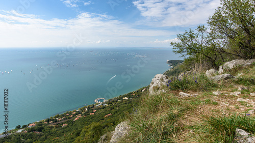 Trieste karst plants. Looking to the sea