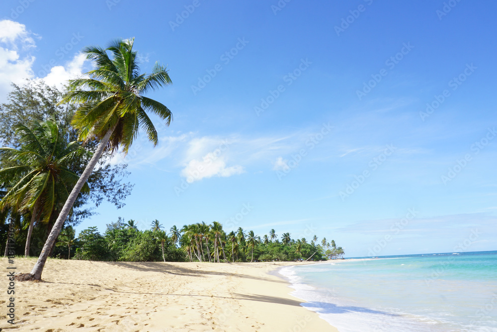 The Punta Popy beach,Samana, Dominican republic, Carribean, America