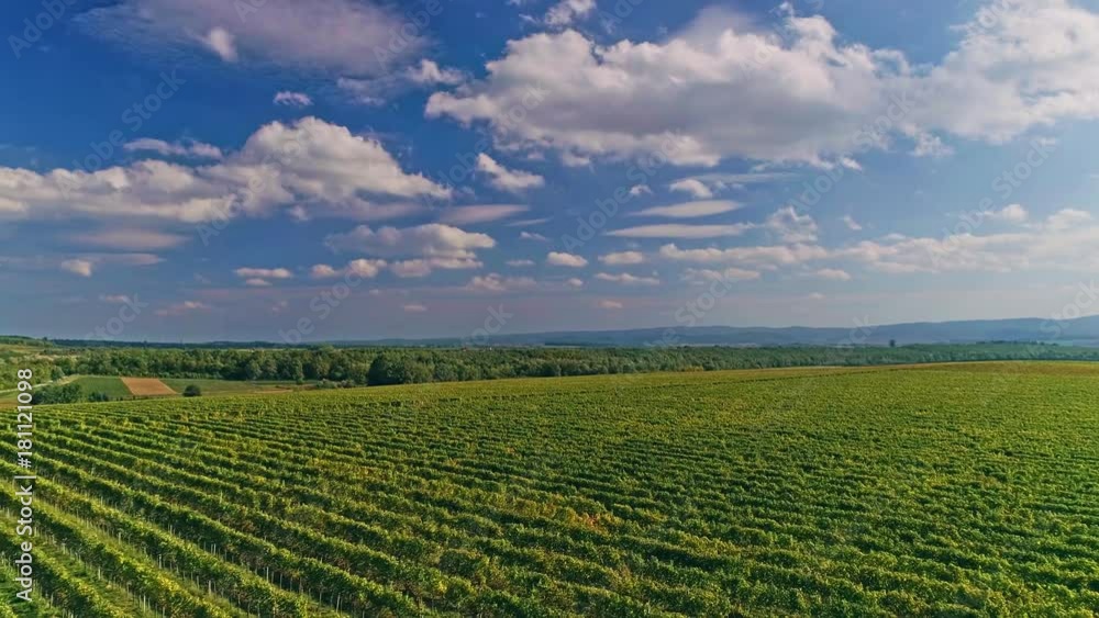 Kutjevo vineyards aerial Kutjevo vineyards aerial