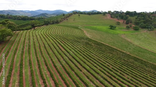 Coffee plantation, Brazil. Aerial