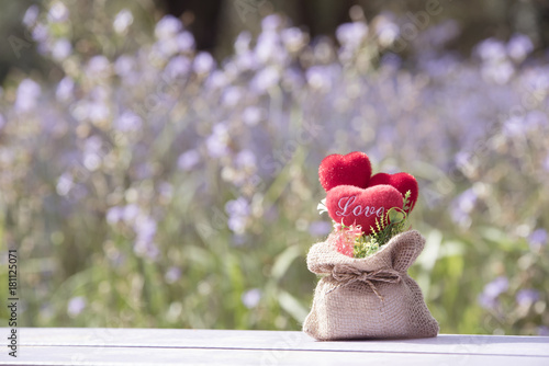 Head in love in valentine Natural photo