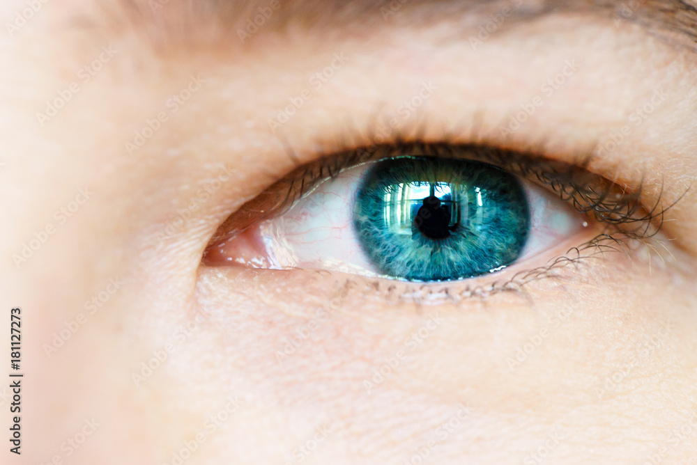 Obraz premium Macro image of human eye