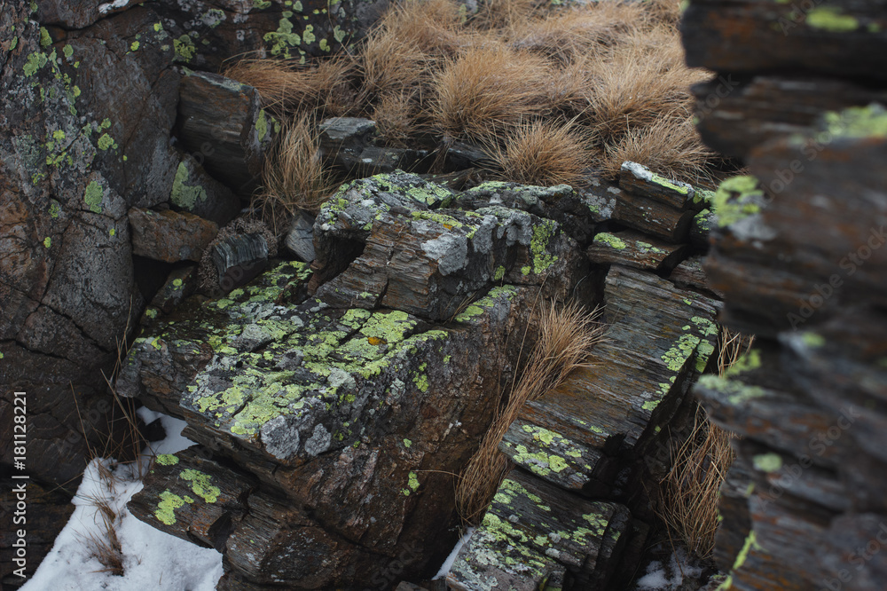 Fototapeta premium Slate rocks in the mountains, close-up. Urenga ridge, South Ural, Russia.