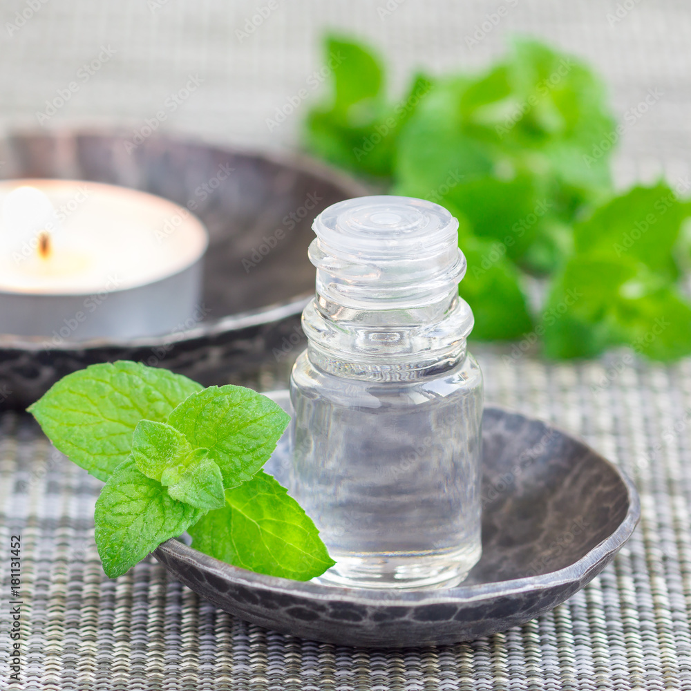 Peppermint essential oil in bottle, square format Peppermint essential oil in bottle, square format
