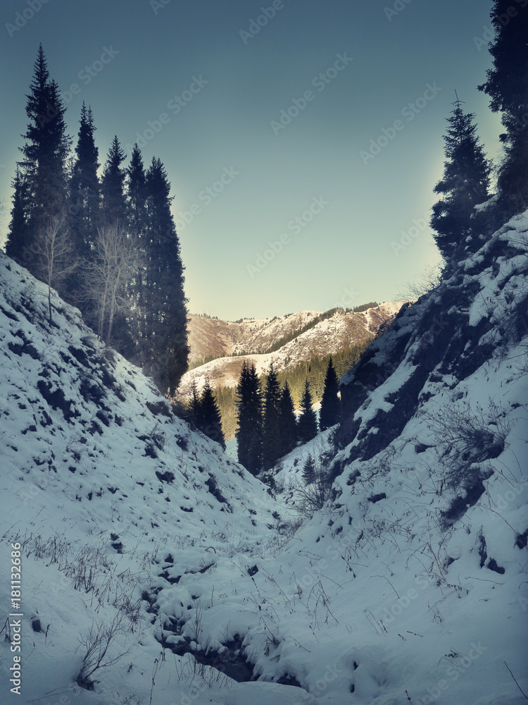 Mountain gorge in winter