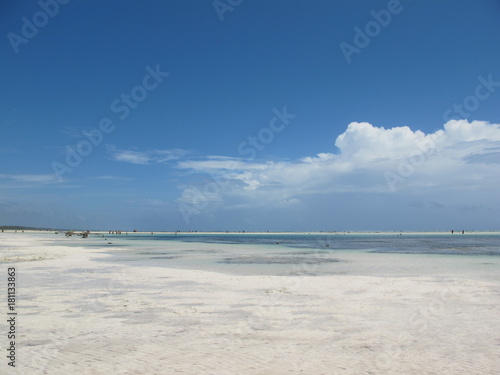 A beach in Zanzibar during low tide