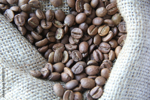 COFFEE SEEDS - Composition © artXLabs