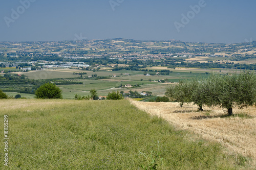 Landscape near Sant'Elpidio a Mare (Marches, italy)