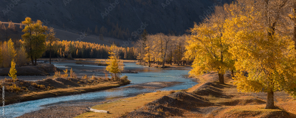 Autumn mountain landscape with sunlit trees and a cold blue river. Autumn forest with fallen leaves & trees against the background of mountains. Autumn trees on a stony shore. 