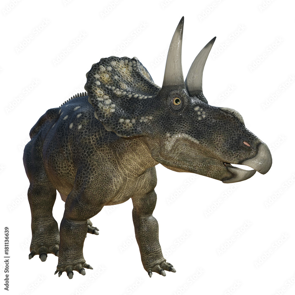 3D Rendering Dinosaur Diceratops on White 3D Rendering Dinosaur Diceratops on White