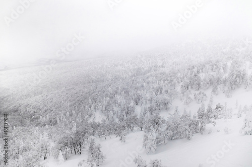 Aerial view of forest of Mount Hakkoda in winter white snow, Aomori, Tohoku, Japan