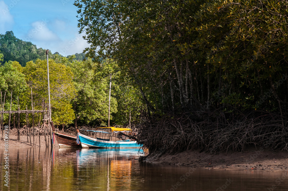 Longtail boat in mangrove forest Koh Lanta, Krabi, Thailand