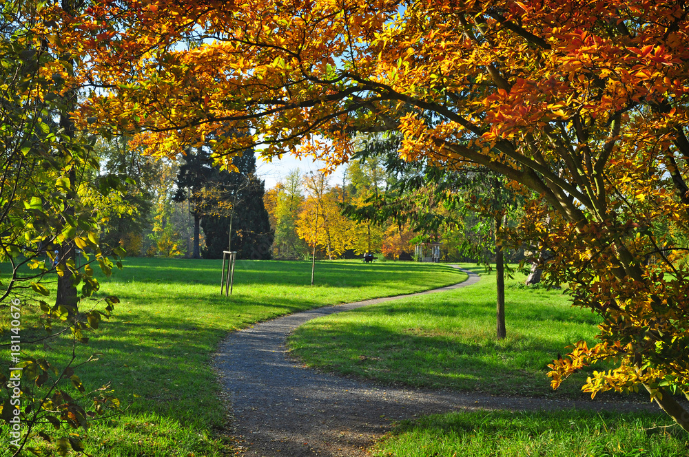 Autumn season park trees