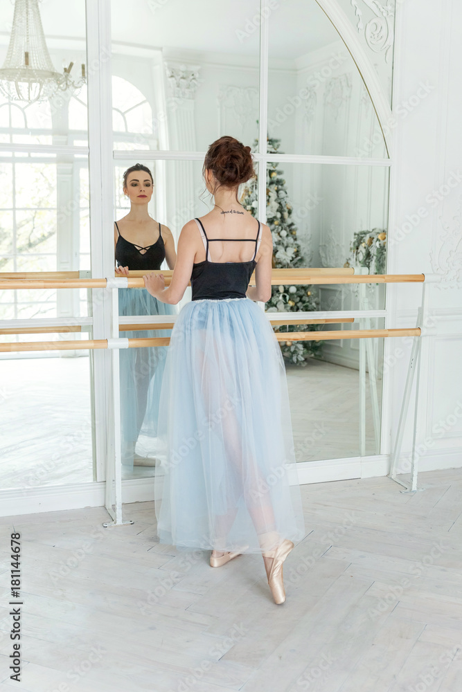 Young ballet dancer in dance class Young ballet dancer in dance class