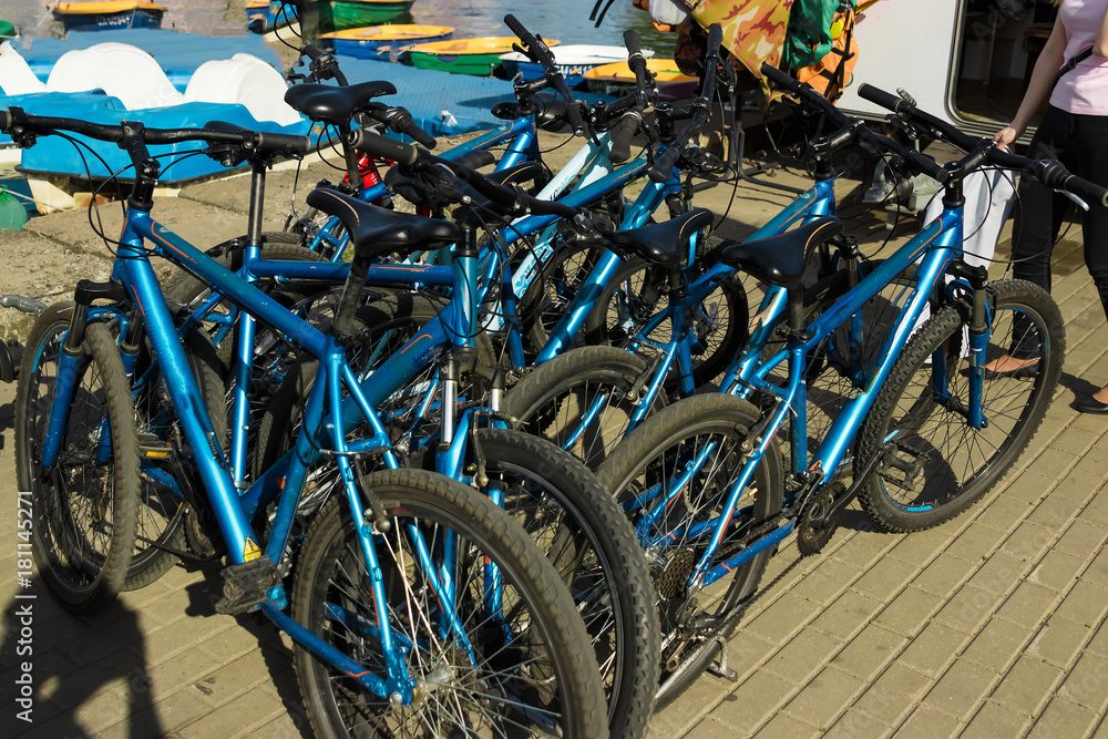 Obraz premium Many identical bicycles in a row