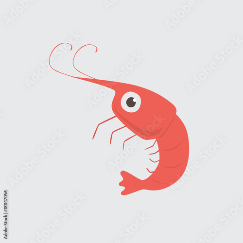 Funny cartoon shrimp on white background