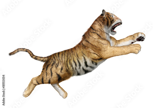 Fototapeta Naklejka Na Ścianę i Meble -  3D Rendering Big Cat Tiger on White