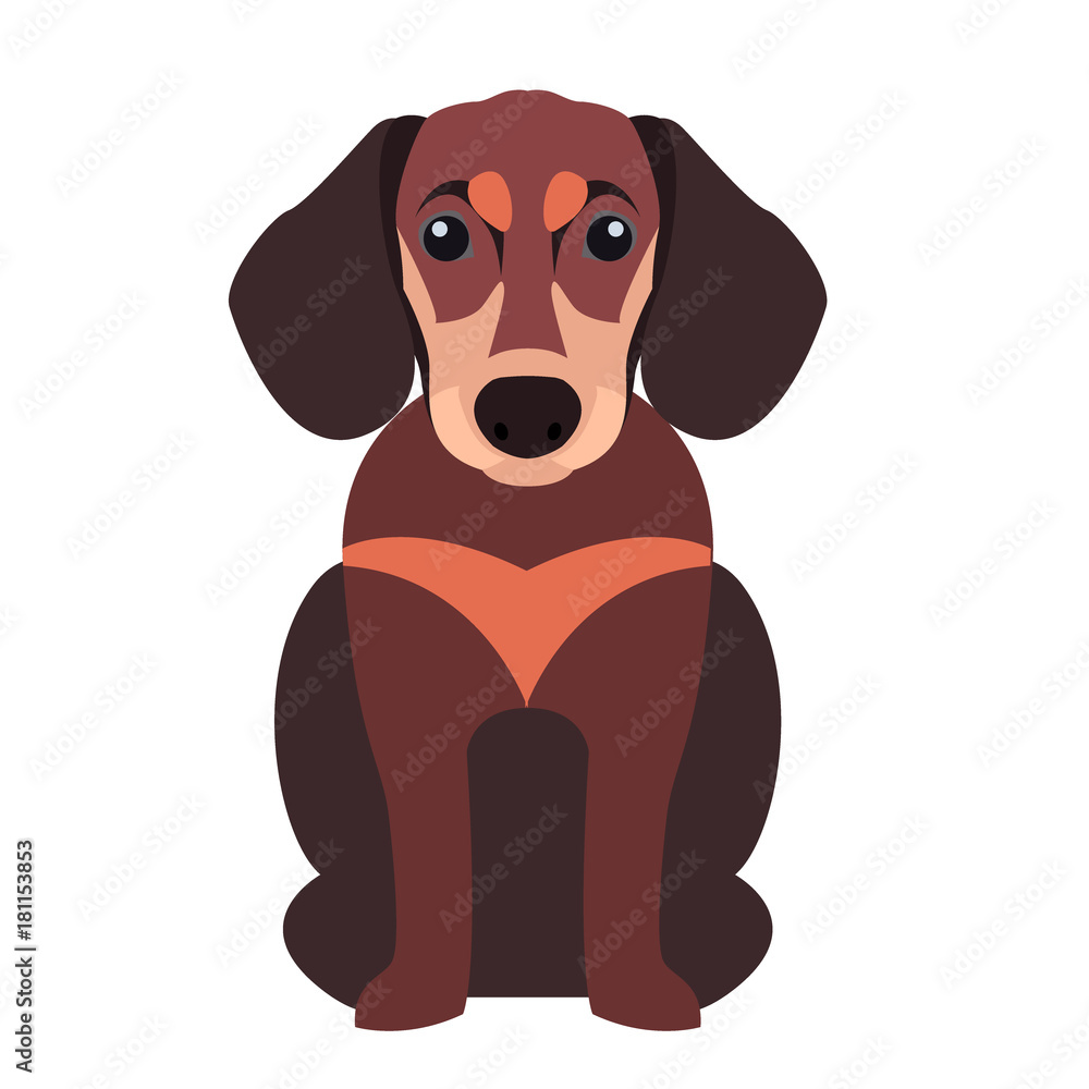 Cute Dachshund Dog Cartoon Flat Vector Icon Cute Dachshund Dog Cartoon Flat Vector Icon