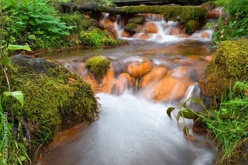 The river flowing from the springs Mshensky