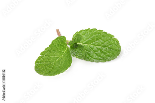 sprig of green fresh mint