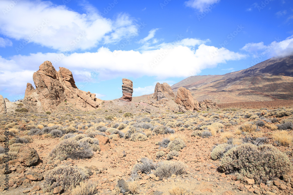 Volcanic El Teide National Park on Tenerife Island, Canary Islands, Spain Volcanic El Teide National Park on Tenerife Island, Canary Islands, Spain