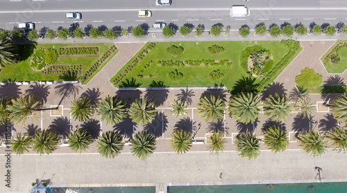 Downward view of promenade with palms