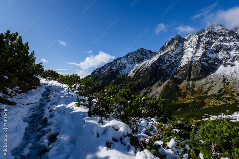 mountain tops in winter covered in snow