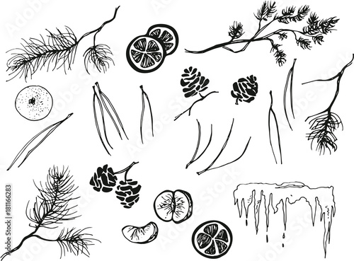 Winter gifts of nature that create a New Year mood
