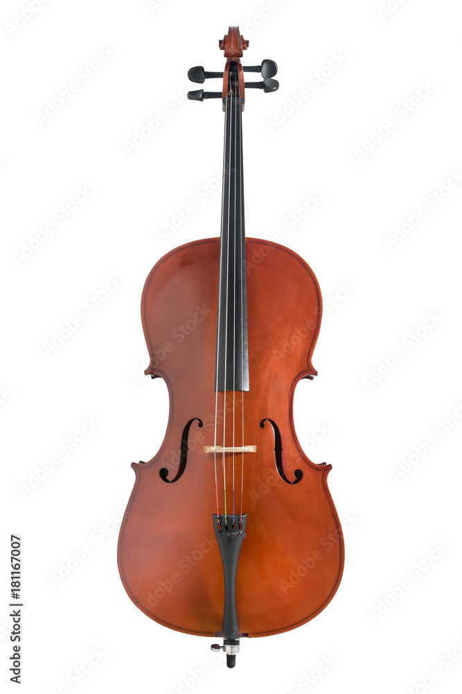 Obraz premium wiolonczela na białym tle