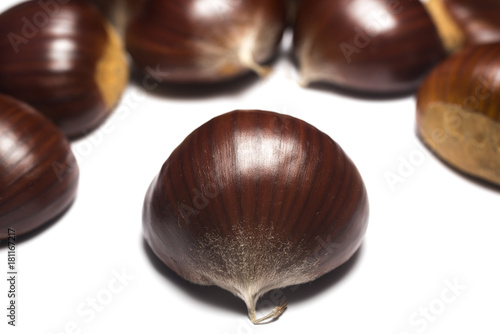 Chestnut on white background from Sicily