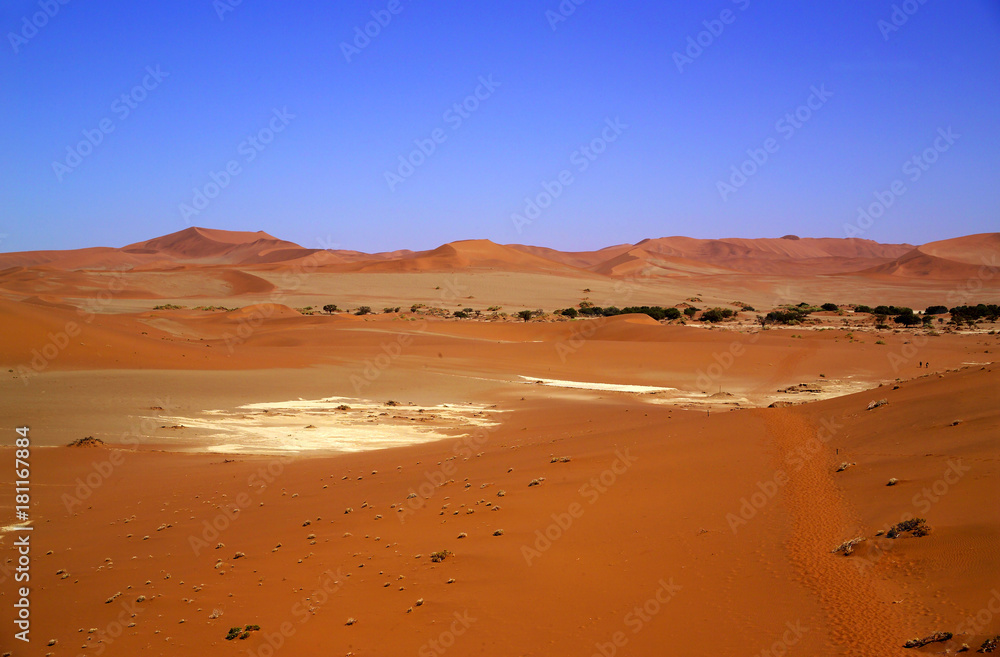 Deadvlei, auch Dead Vlei, Namibsand-Dünen umschlossene Ton-Pfanne, unweit Sossusvlei, abgestorbe Akazienbäume, Bäume über 500 Jahre alt, Namibia, Afrika Deadvlei, auch Dead Vlei, Namibsand-Dünen umschlossene Ton-Pfanne, unweit Sossusvlei, abgestorbe Akazienbäume, Bäume über 500 Jahre alt, Namibia, Afrika