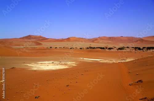 Deadvlei, auch Dead Vlei, Namibsand-Dünen umschlossene Ton-Pfanne, unweit Sossusvlei, abgestorbe Akazienbäume, Bäume über 500 Jahre alt, Namibia, Afrika