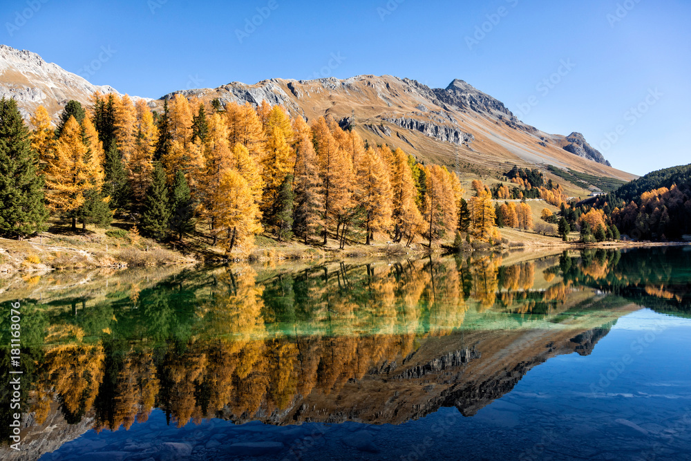 Stunning view of the Palpuogna lake near Albula pass with golden trees in autumn, Canton of Grisons, Switzerland