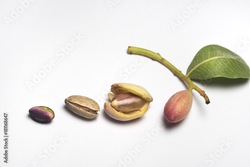 Just picked pistachio with husk sprig and leaf from Bronte Sicily on white background