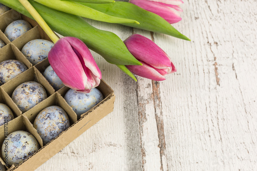 quails eggs in a box with tulips