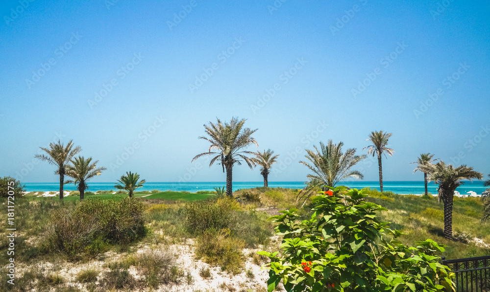 Beautiful beach on Saadiyat island, Abu Dhabi, United Arab Emirates
