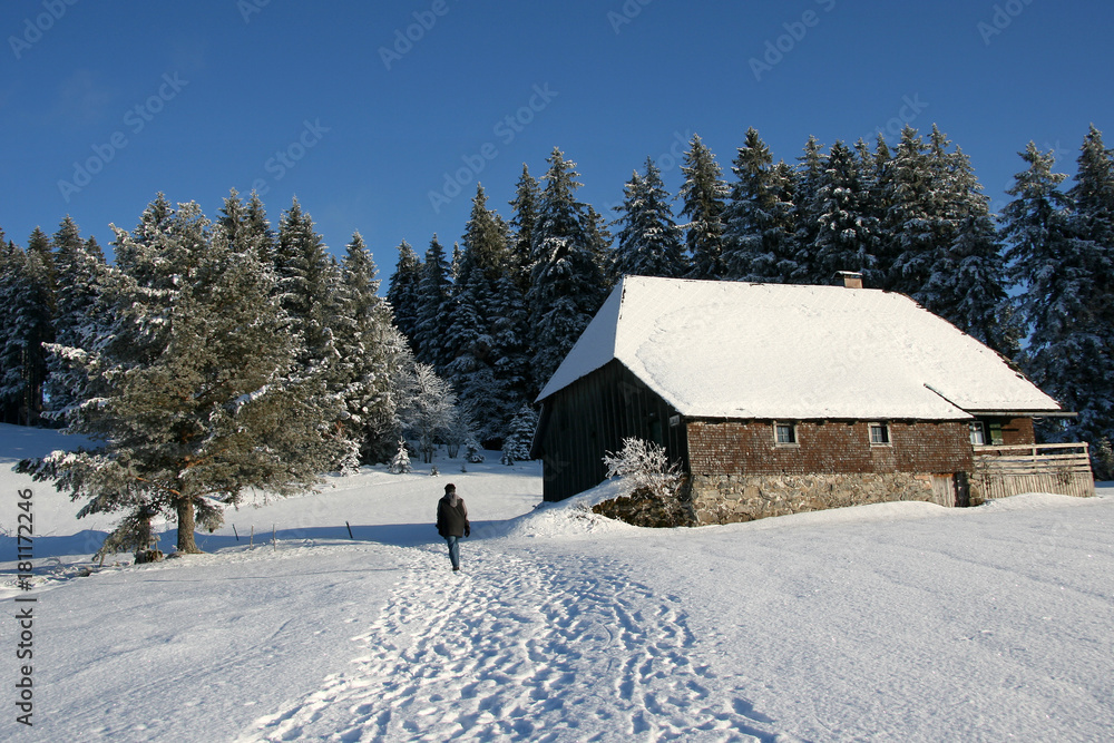 Winterwandern im Feldberggebiet