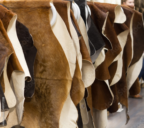 Cattle hides cow, hanging showcase in store different color black and brown. Russia Moscow
