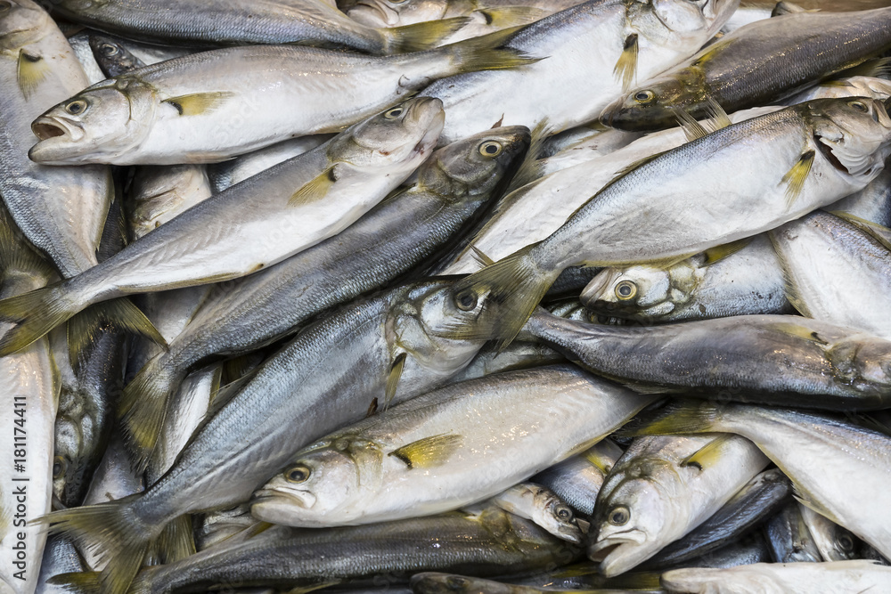 Background of fresh small sea fish shot close-up Background of fresh small sea fish shot close-up