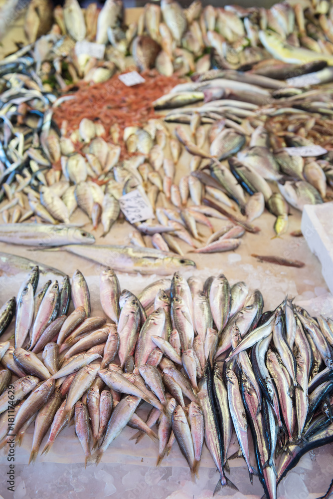 Fish market Catania Sicily