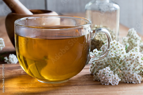 A cup of yarrow tea with yarrow flowers in the background