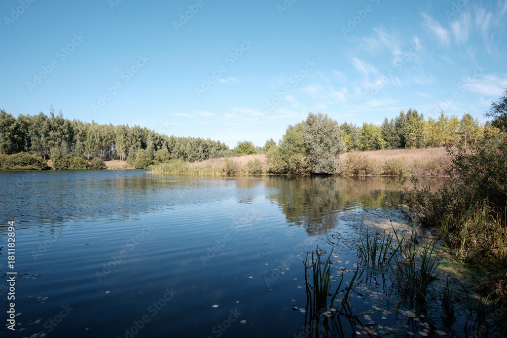 Ripples on the river