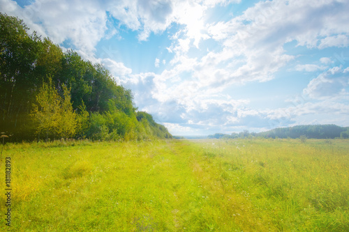 Sunny meadow © novolodskiy