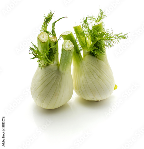 Florence fennel isolated on white background two bulbs.