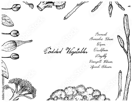 Hand Drawn of Podded Vegetables Frame on White Background