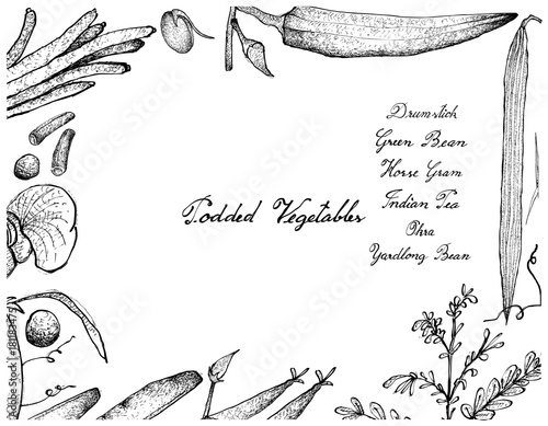 Hand Drawn of Podded Vegetables Frame on White Background