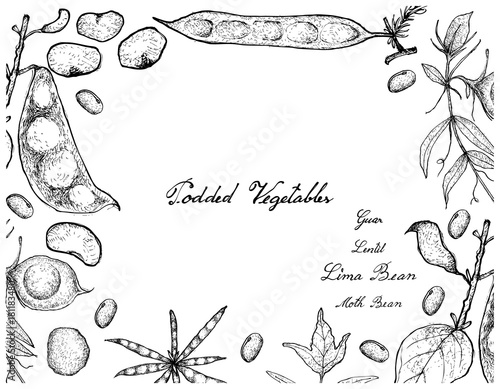 Hand Drawn of Podded Vegetables Frame on White Background photo