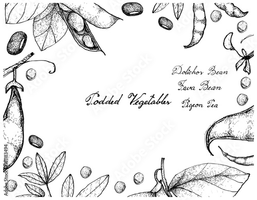 Hand Drawn of Podded Vegetables Frame on White Background