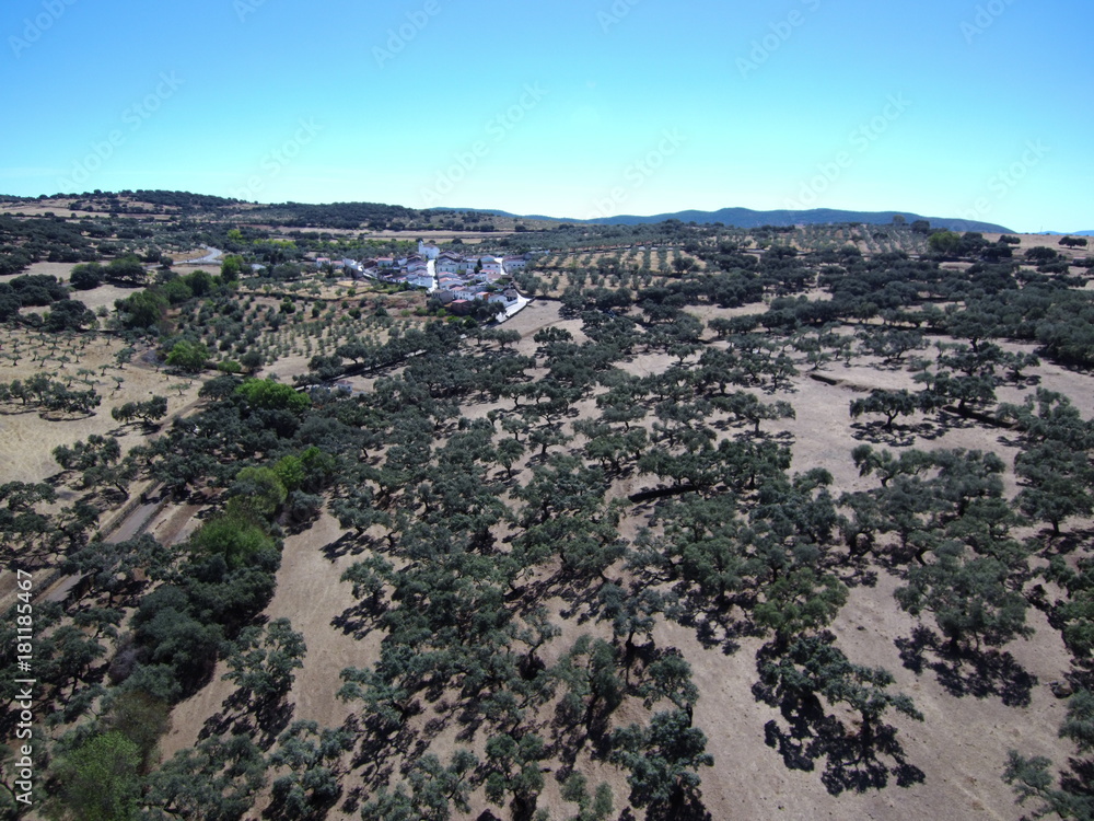 Cumbres de Enmedio es un municipio español de la provincia de Huelva (Andalucia,España)
