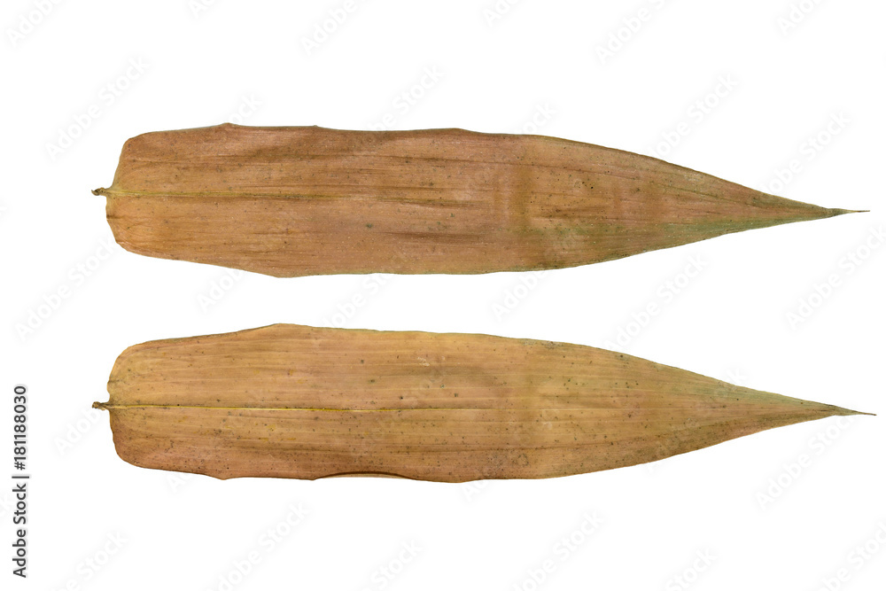 Frond and back of dried bamboo leaves isolated on white background. Frond and back of dried bamboo leaves isolated on white background.